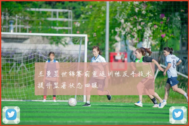 王曼昱世锦赛前重返训练反手技术提升显著状态回暖